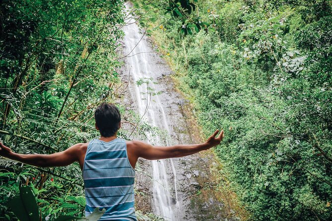 Manoa Waterfall Hike with Waikiki Pickup & Healthy Lunch - Why Manoa Valley makes a good half-day escape