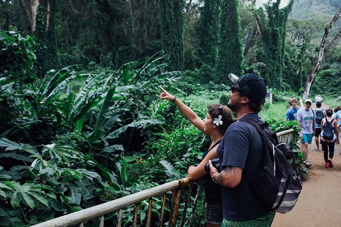Manoa Waterfall Hike with Waikiki Pickup & Healthy Lunch - How difficult is the Manoa Falls hike?