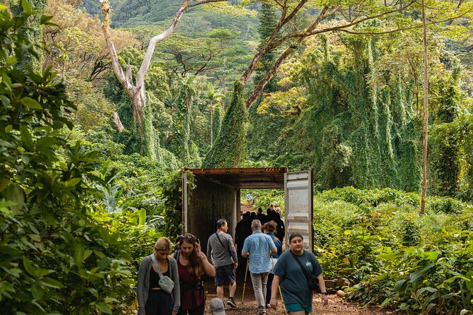 Manoa Waterfall Hike with Waikiki Pickup & Healthy Lunch - What the guided format adds
