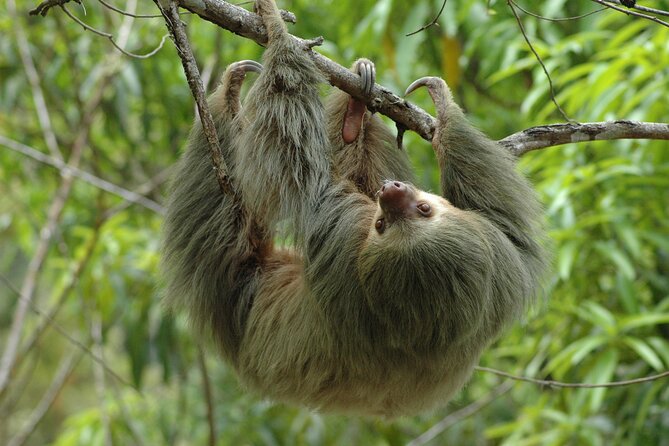 Manuel Antonio National Park Hiking Tour from Jacó - Why this Jacó to Manuel Antonio day trip works