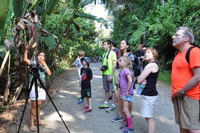 Manuel Antonio National Park Hiking Tour from Jacó - Sloths, monkeys, birds, and smaller creatures