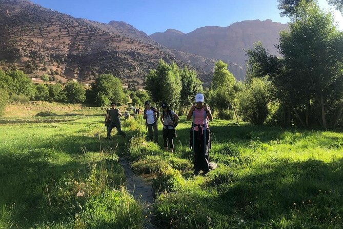 Marrakech: 2-Day Atlas Mountains Trek with Village Stay - Quick facts about the Atlas Mountains trek