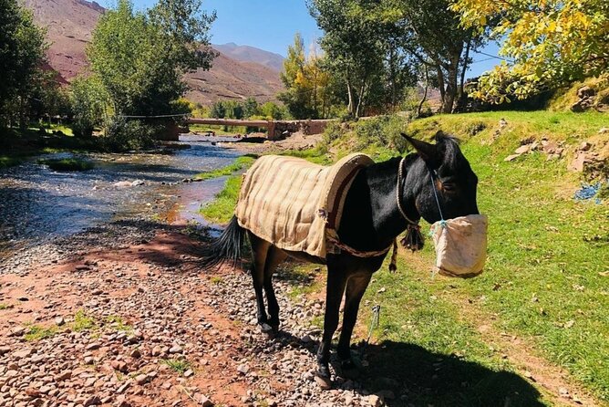 Marrakech: 2-Day Atlas Mountains Trek with Village Stay - Leaving Marrakech for Imlil and the High Atlas