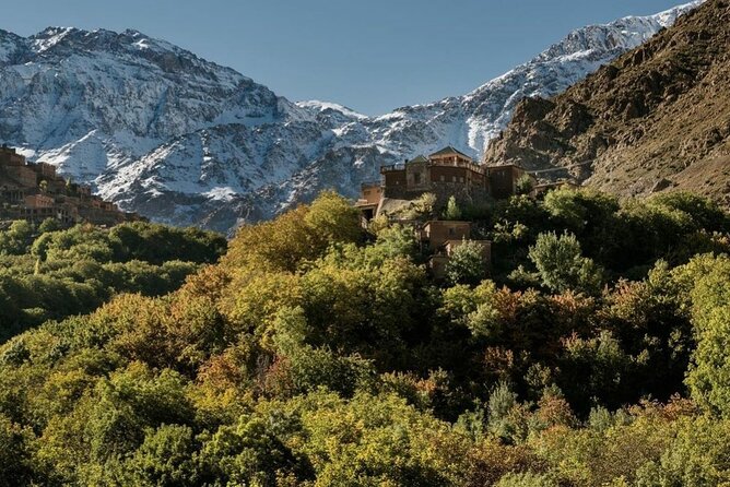 Marrakech: 2-Day Atlas Mountains Trek with Village Stay - Down through juniper forest to Tizi Oussem