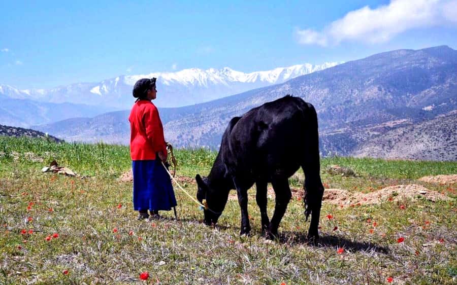 Marrakech: 2-Day Atlas Villages Trekking Tour - Tinmel and the road toward Ijoukak
