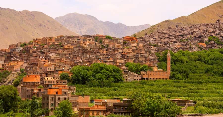Marrakech: Atlas Mountains & Valleys Waterfall Hike w/ Lunch - Local guides who shape the day