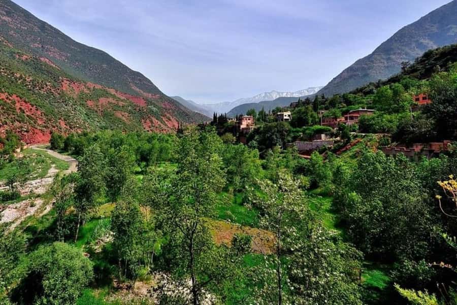 Marrakech: ourika valley lunch & guided hike to waterfalls - How good is the value at $12?