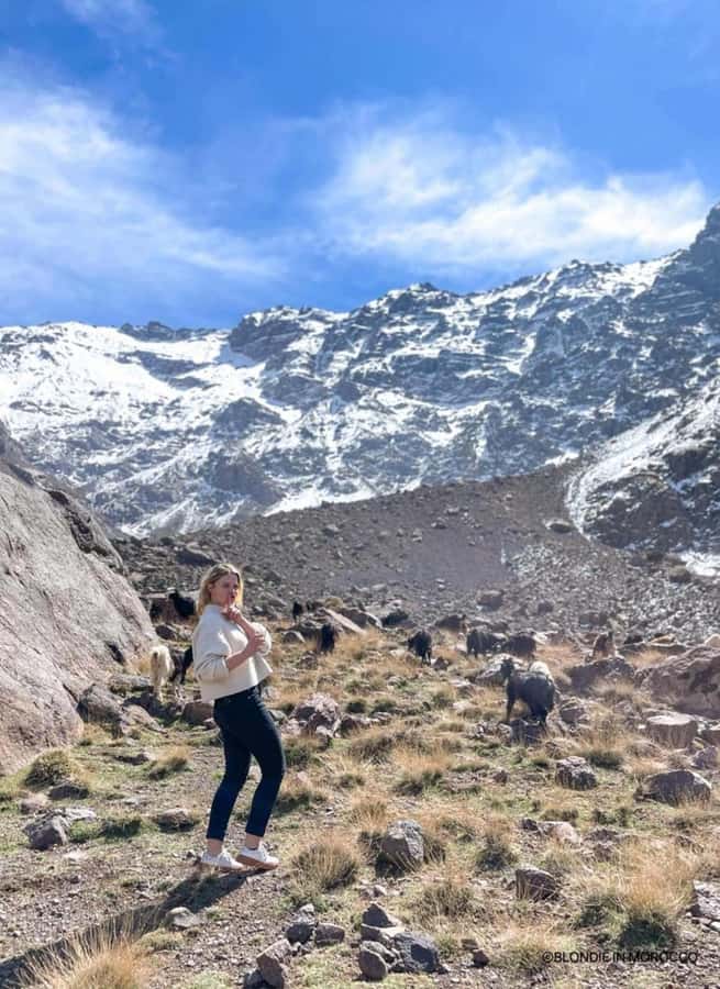 Marrakech: Tedli Summit Atlas Mountains Day Hike & Lunch - Why this $34 Atlas Mountains trip is good value