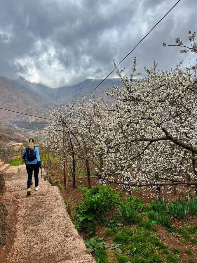 Marrakech: Tedli Summit Atlas Mountains Day Hike & Lunch - Leaving Marrakech for Imlil