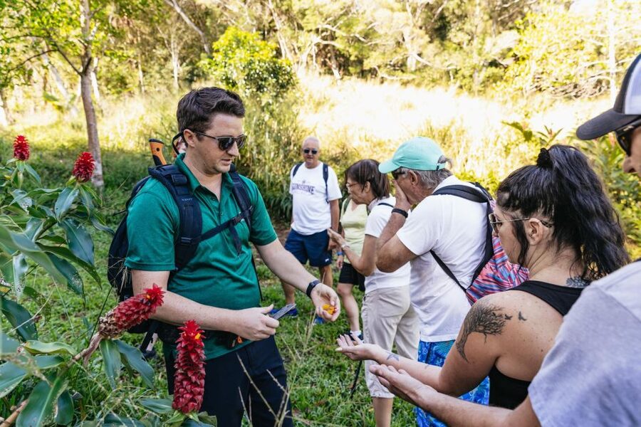 Maui: Rainforest Waterfalls Guided Hike with Picnic Lunch - Key points to know before you book