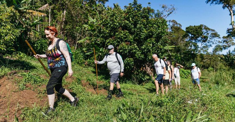 Maui: Rainforest Waterfalls Guided Hike with Picnic Lunch - Three to five waterfalls, with swimming at the best stops