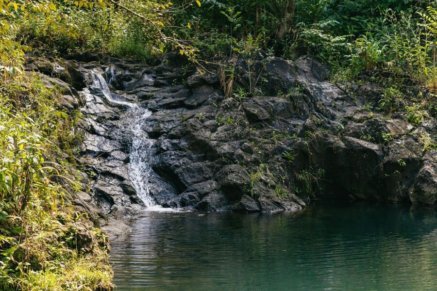 Maui: Rainforest Waterfalls Guided Hike with Picnic Lunch - A picnic lunch beside a tumbling fall
