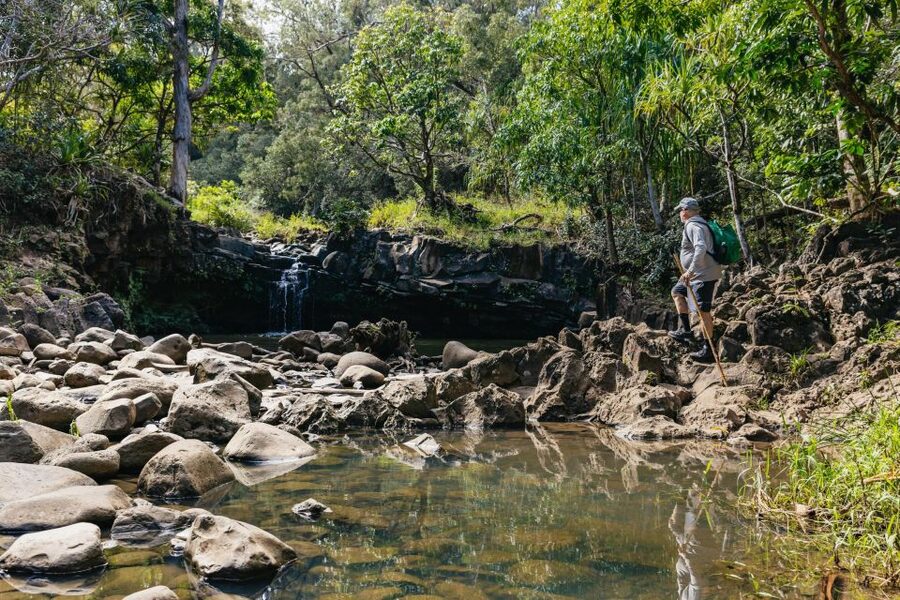 Maui: Rainforest Waterfalls Guided Hike with Picnic Lunch - What the guides add to the walk