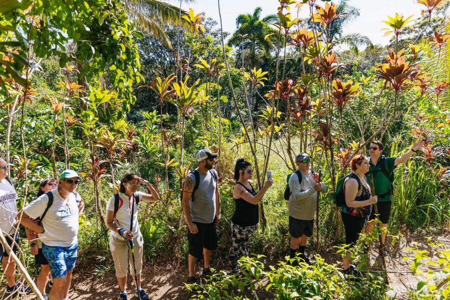 Maui: Rainforest Waterfalls Guided Hike with Picnic Lunch - How difficult is the hike?