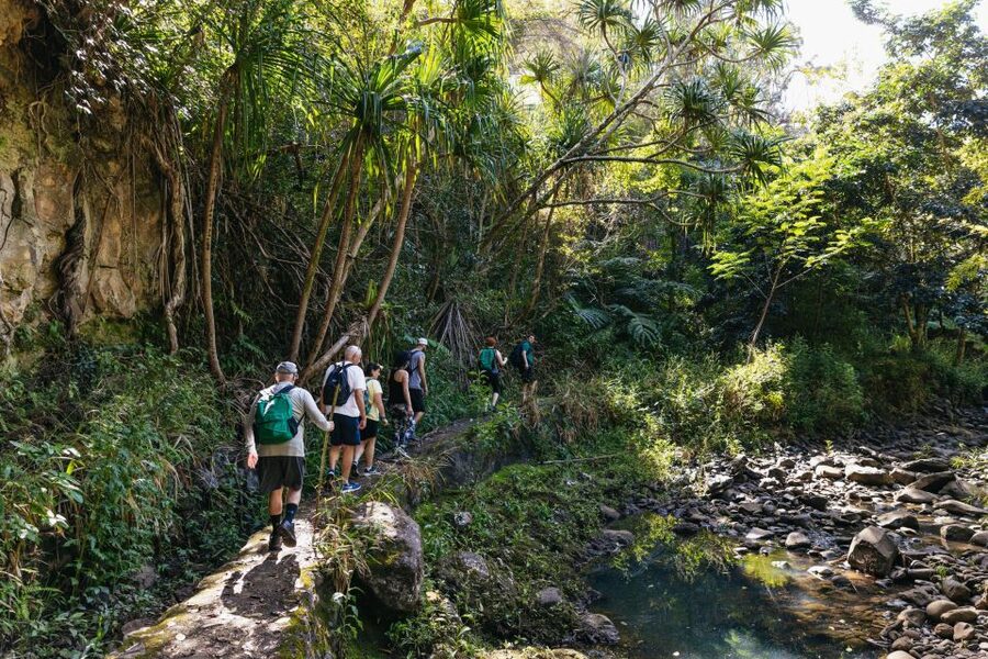 Maui: Rainforest Waterfalls Guided Hike with Picnic Lunch - Is $187 a good value?