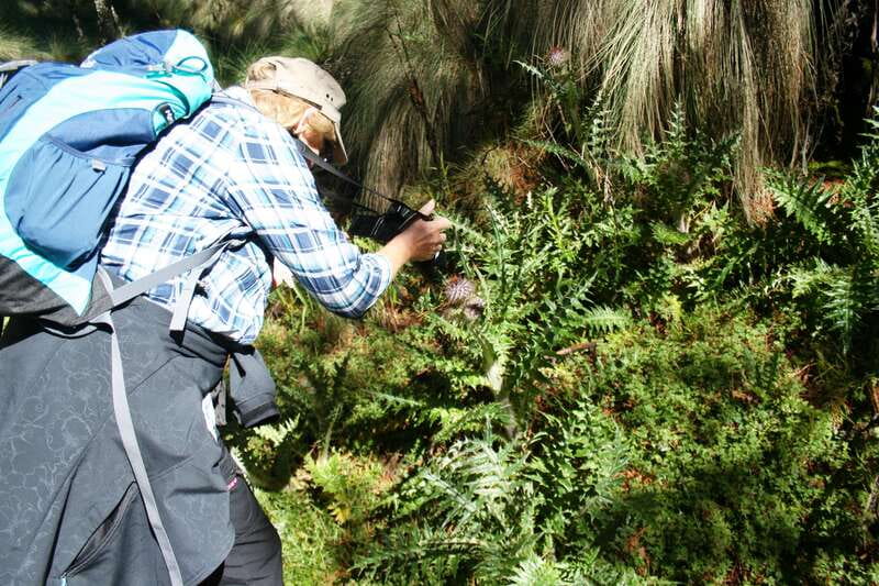 Mexico City: Guided Volcano Trek with Lunch - The Trek to Cerro Altzomoni