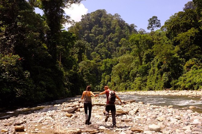 Monkey Business 3 days - 2 nights Jungle trekking (including rafting) - Day 3: River time, breakfast, and rafting