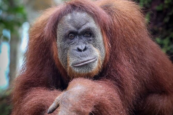 Monkey Business 3 days - 2 nights Jungle trekking (including rafting) - Who will enjoy this trek most