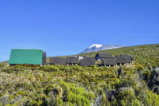 Mount Kilimanjaro Day Hike Through Marangu Route to Mandara Hut - What this one-day Kilimanjaro trip really offers