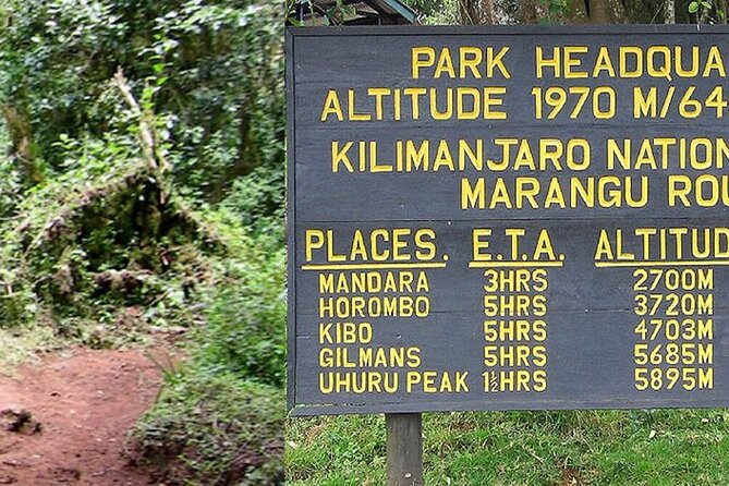 Mount Kilimanjaro Day Hike Through Marangu Route to Mandara Hut - The rainforest trail: wet, cool, and full of character