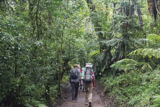 Mount Kilimanjaro Day Hike Through Marangu Route to Mandara Hut - Reaching Mandara Hut at 2,700 meters