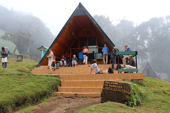 Mount Kilimanjaro Day Hike Through Marangu Route to Mandara Hut - Maundi Crater: a worthwhile extra if time allows
