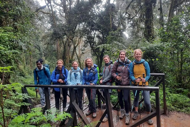Mount Kilimanjaro Day Hike Through Marangu Route to Mandara Hut - Marangu Gate: a practical start at 1,860 meters