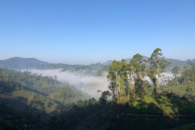 Mountain Hiking in Munnar (half day) By Munnar Info - The climb: moderate, with a few demanding moments