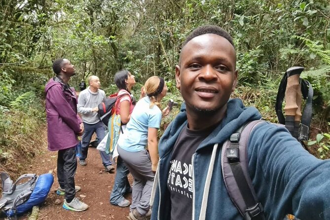 Mountain Kilimanjaro Day Hike - The climb to Mandara Hut