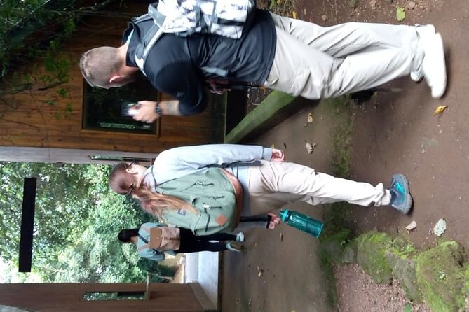 Mountain Kilimanjaro Day Hike - Reaching Mandara Hut and taking lunch