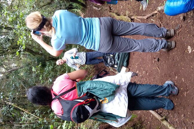 Mountain Kilimanjaro Day Hike - Marangu Gate and the start of the trail