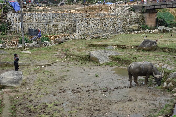 Mountain views and villages trek – 1 Day - Who will get the most from this Sapa trek?