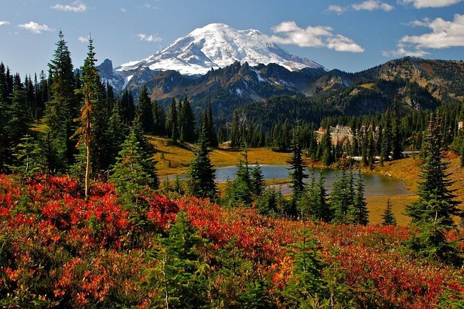 Mt. Rainier highlights - old forest, falls and glaciers - Key points to know before booking
