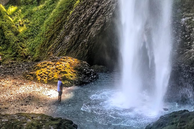 Multnomah Falls and Columbia River Gorge Half-Day Hiking Tour - What the $73 price really covers