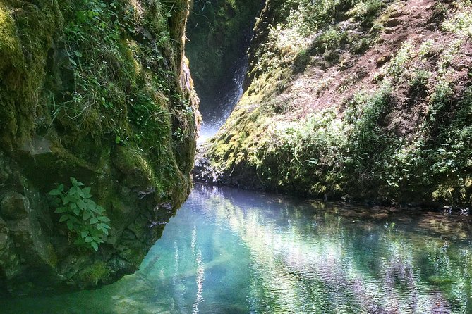Multnomah Falls and Columbia River Gorge Half-Day Hiking Tour - Bridal Veil offers a quieter forest walk