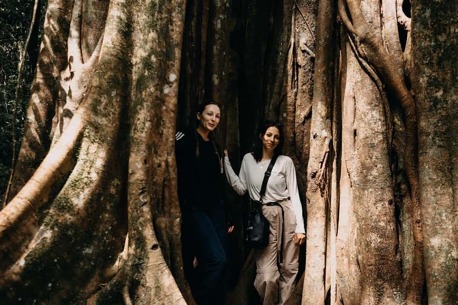 Munduk: Twin Lake Jungle Hike, Ulun Danu Temple, & Waterfall - Should you book the Munduk Twin Lakes tour?