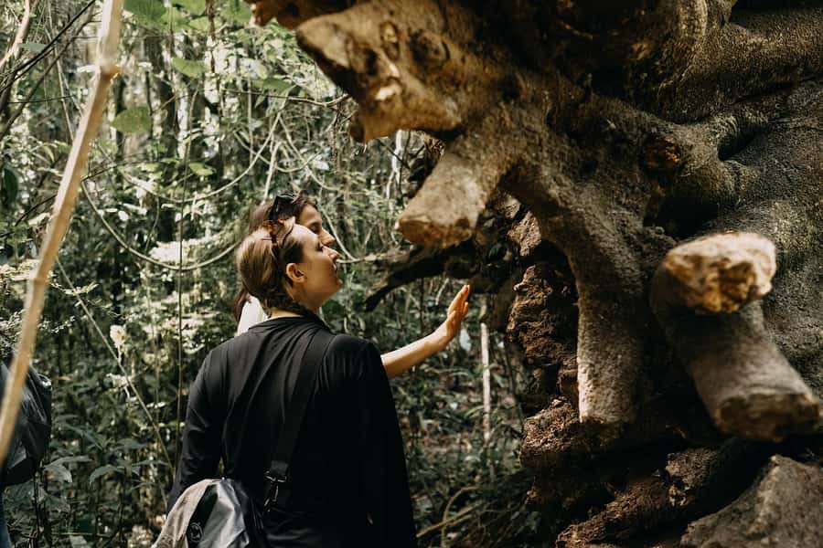 Munduk: Twin Lake Jungle Hike, Ulun Danu Temple, & Waterfall - Who should book this experience?