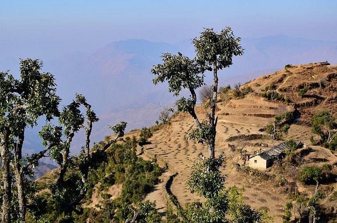 Nag Tibba 2 Days Trek (Pantwari to Pantwari) - Group size, guide quality, and service expectations
