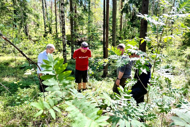 National Park Hike & Finnish Smoke Sauna Experience with Campfire Lunch - Is $199.62 good value?