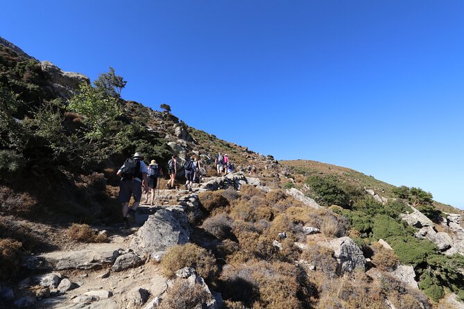 Naxos: Hike to the Top of the Cyclades - Mount Zas - A picnic built around local food