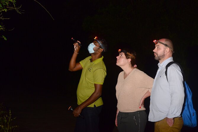 Night Hike to see Elusive & Rare Loris in Sigiriya - Meeting the guide at Rocko’s Vegetarian Cafe