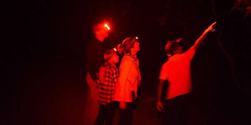 Night Hike to see Elusive & Rare Loris in Sigiriya - Booking details that matter