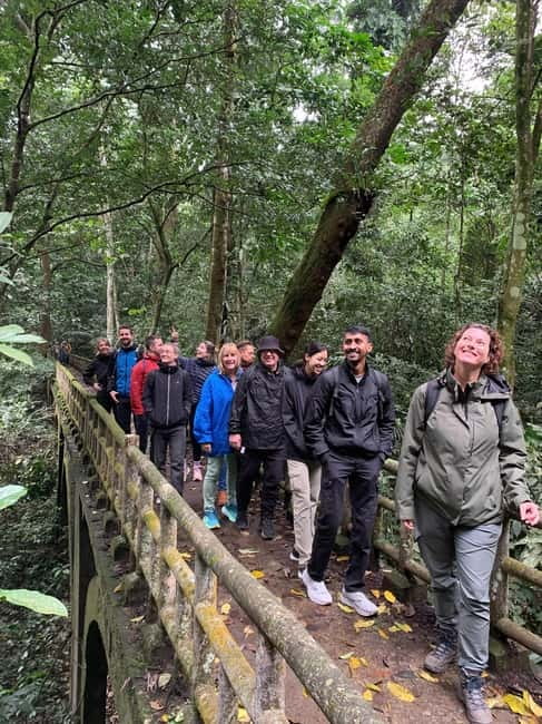 Ninh Binh: Cuc Phuong Jungle Hike & Wildlife Day Trip - Finding the 1,000-year-old Cay Cho tree