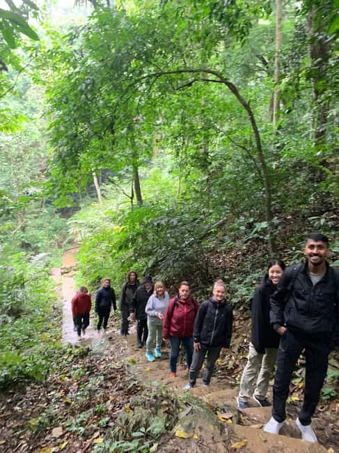 Ninh Binh: Cuc Phuong Jungle Hike & Wildlife Day Trip - A generous Vietnamese lunch inside the forest