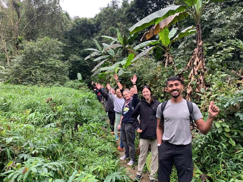 Ninh Binh: Cuc Phuong Jungle Hike & Wildlife Day Trip - Wildlife expectations: protect yourself from disappointment