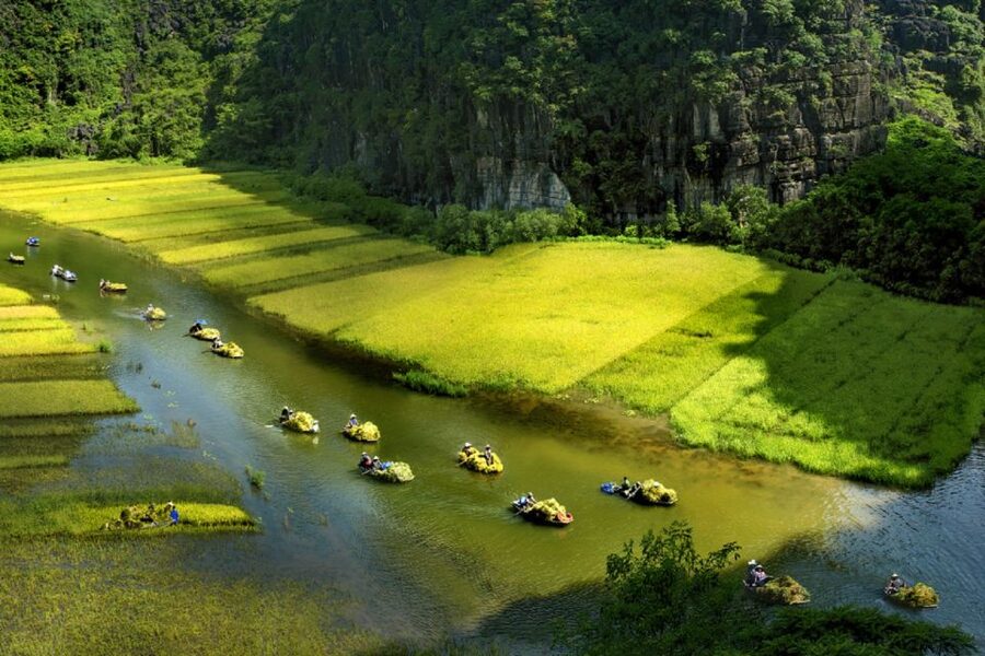 Ninh Binh: Hoa Lu, Trang An and Mua Caves Hiking Day Trip - Who should book this experience?