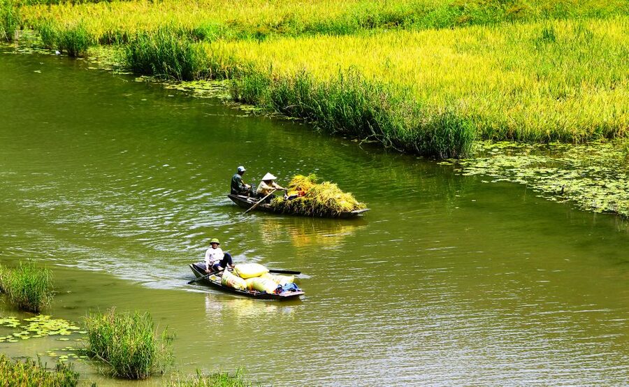 Ninh Binh: Hoa Lu, Trang An and Mua Caves Hiking Day Trip - The early ride from Hanoi to Hoa Lu