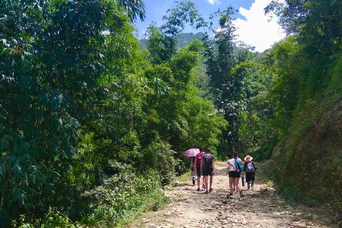 Number one top rated ethical cultural trekking and homestay by ETHOS - Leaving Sapa for the rice terraces