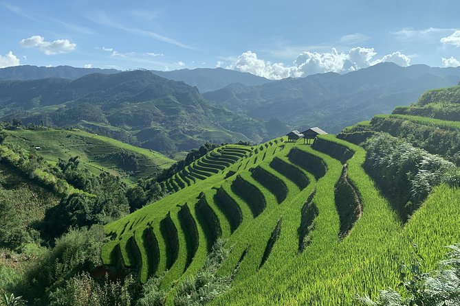 Number one top rated ethical cultural trekking and homestay by ETHOS - Is $93.34 good value?