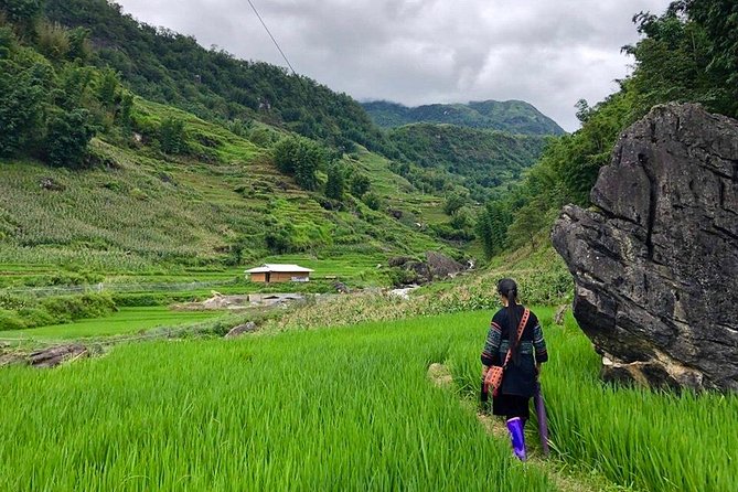 Number one top rated ethical cultural trekking and homestay by ETHOS - Sharing lunch with the host family